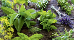 Herbs and Medicinal Plants